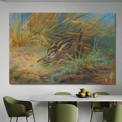 Jack Snipe Archibald Thorburn ath59 canvas print 