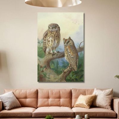 Little Owl And Scops Owl Archibald Thorburn ath61 canvas print 