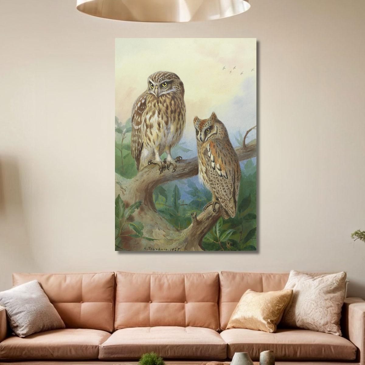 Little Owl And Scops Owl Archibald Thorburn ath61 canvas print 