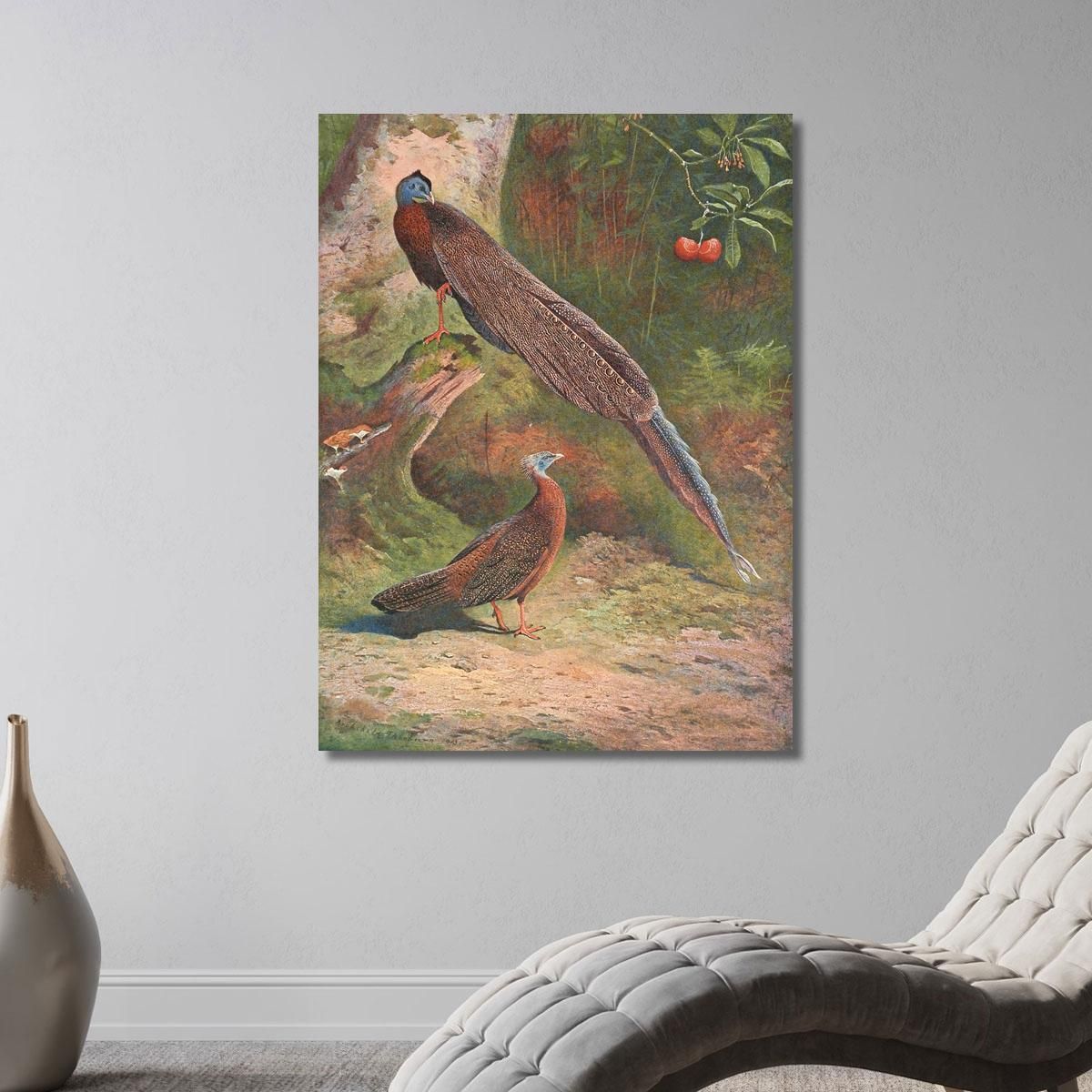 Malay Argus Pheasant Archibald Thorburn ath64 canvas print 