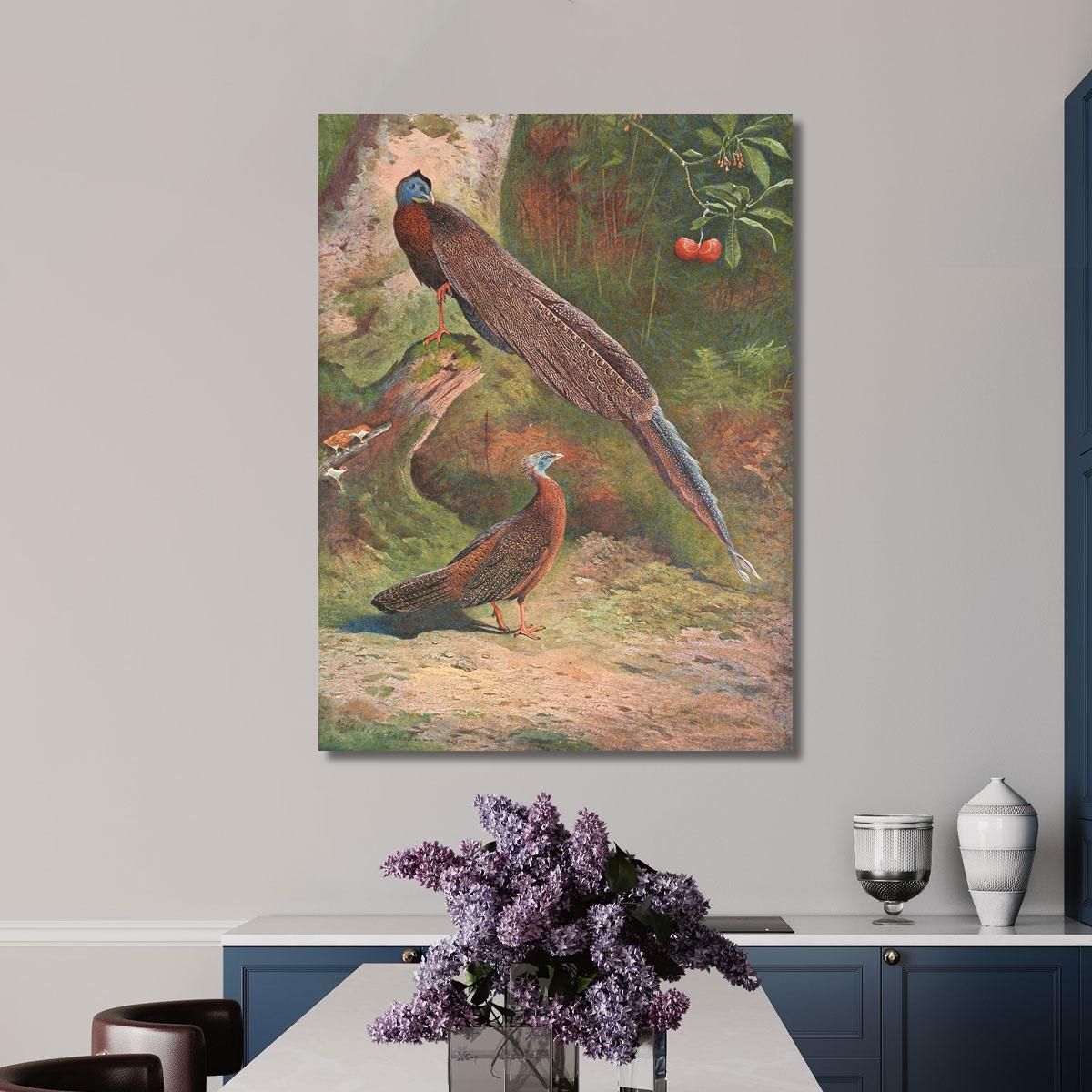 Malay Argus Pheasant Archibald Thorburn ath64 canvas print 