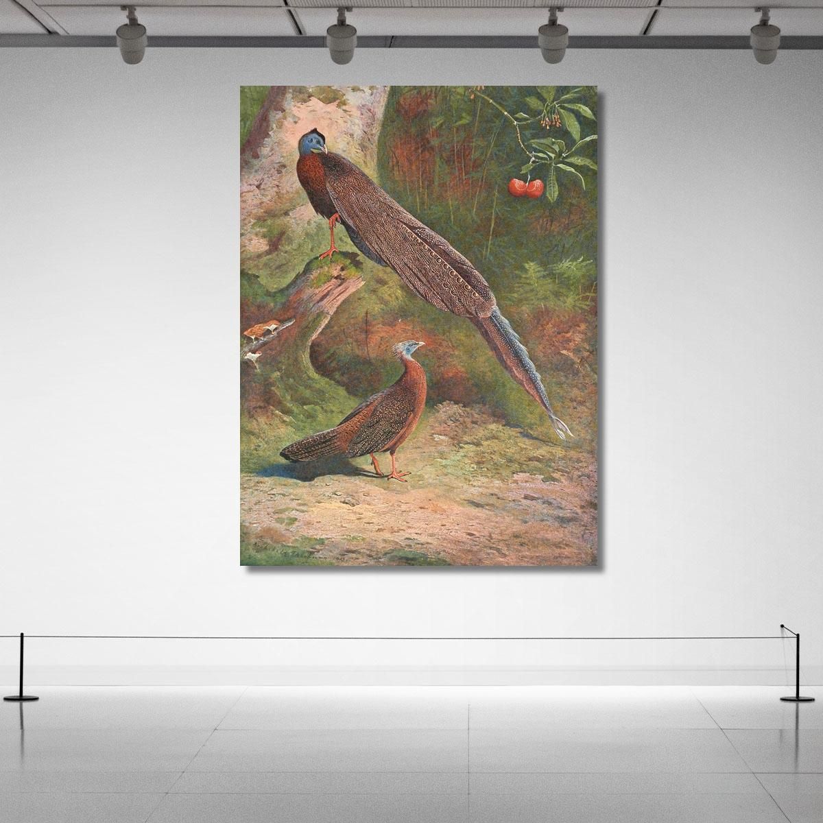 Malay Argus Pheasant Archibald Thorburn ath64 canvas print 