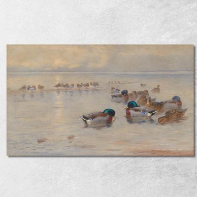 Mallards On A Lake Archibald Thorburn ath67 canvas print 