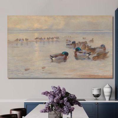 Mallards On A Lake Archibald Thorburn ath67 canvas print 