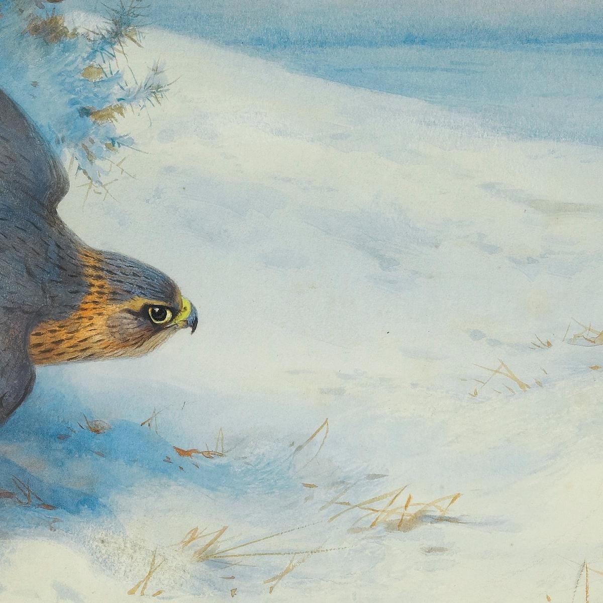 Merlin And Larks Archibald Thorburn ath68 canvas print