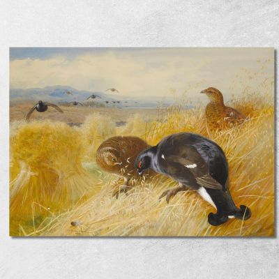 On The Stooksblackgame Archibald Thorburn ath71 canvas print 