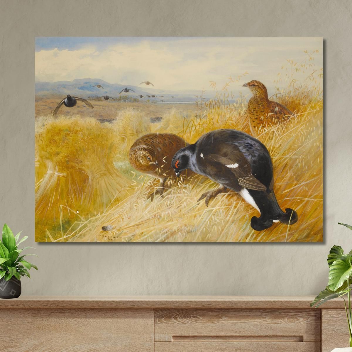 On The Stooksblackgame Archibald Thorburn ath71 canvas print 