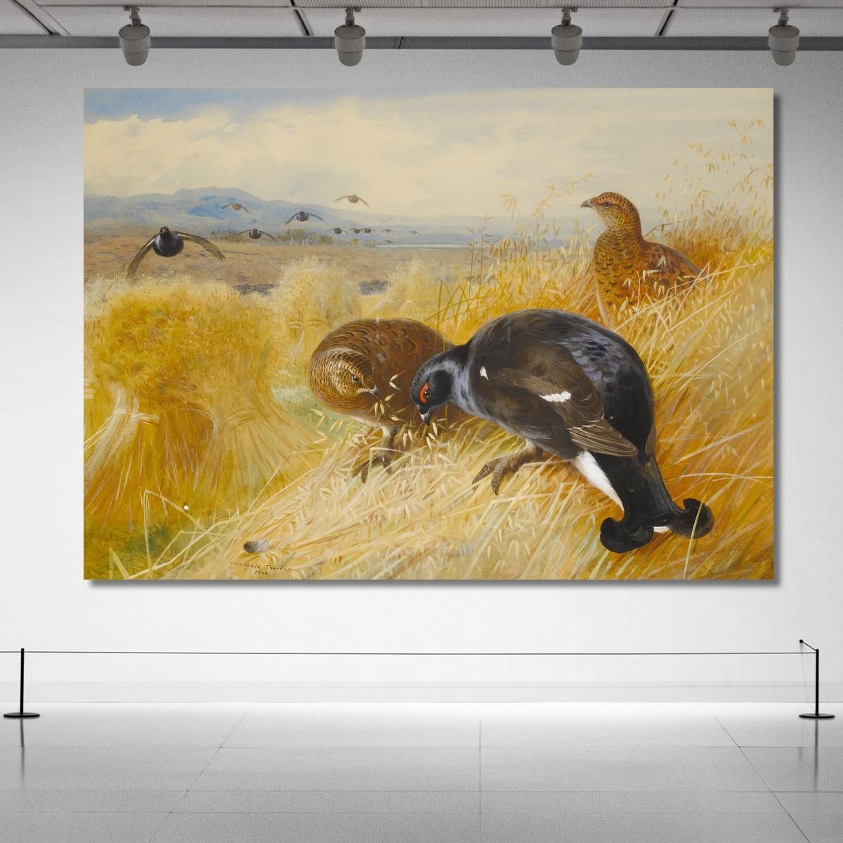 On The Stooksblackgame Archibald Thorburn ath71 canvas print 