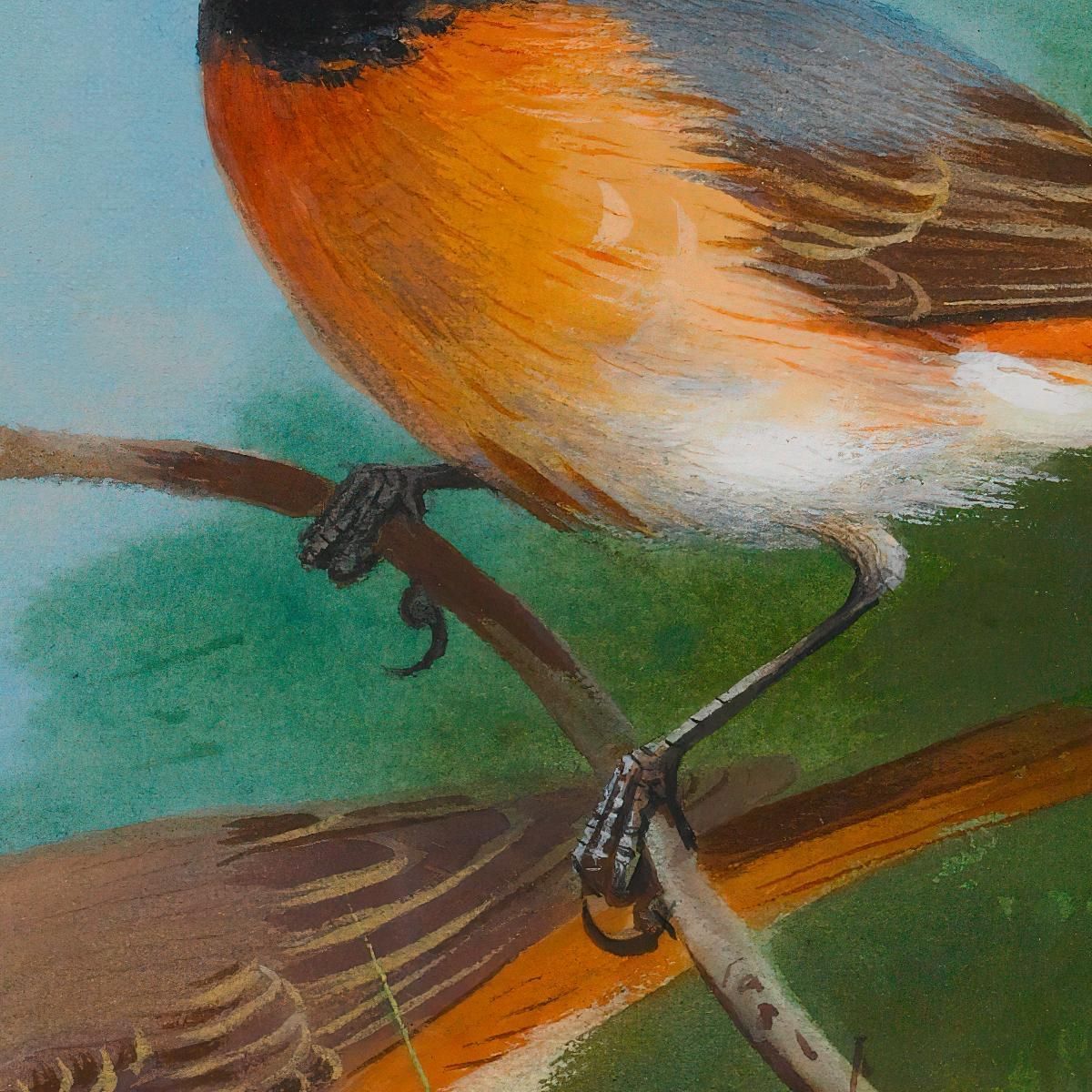 Pair Of Redstarts Archibald Thorburn ath73 canvas print