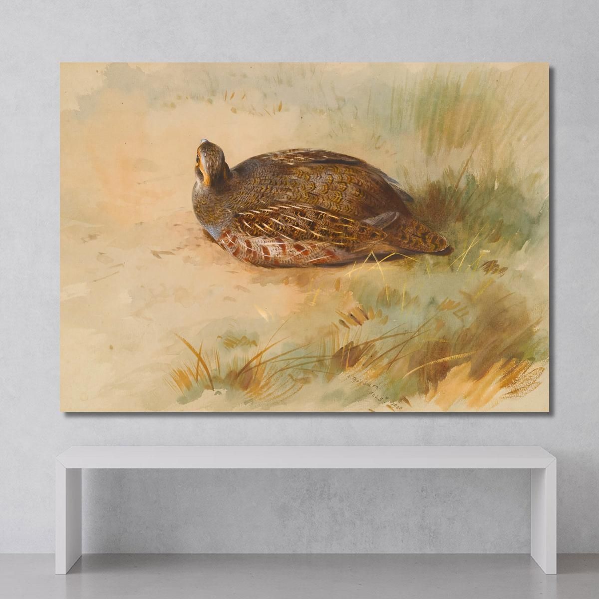 Partridge Archibald Thorburn ath75 canvas print 