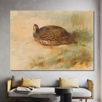 Partridge Archibald Thorburn ath75 canvas print 