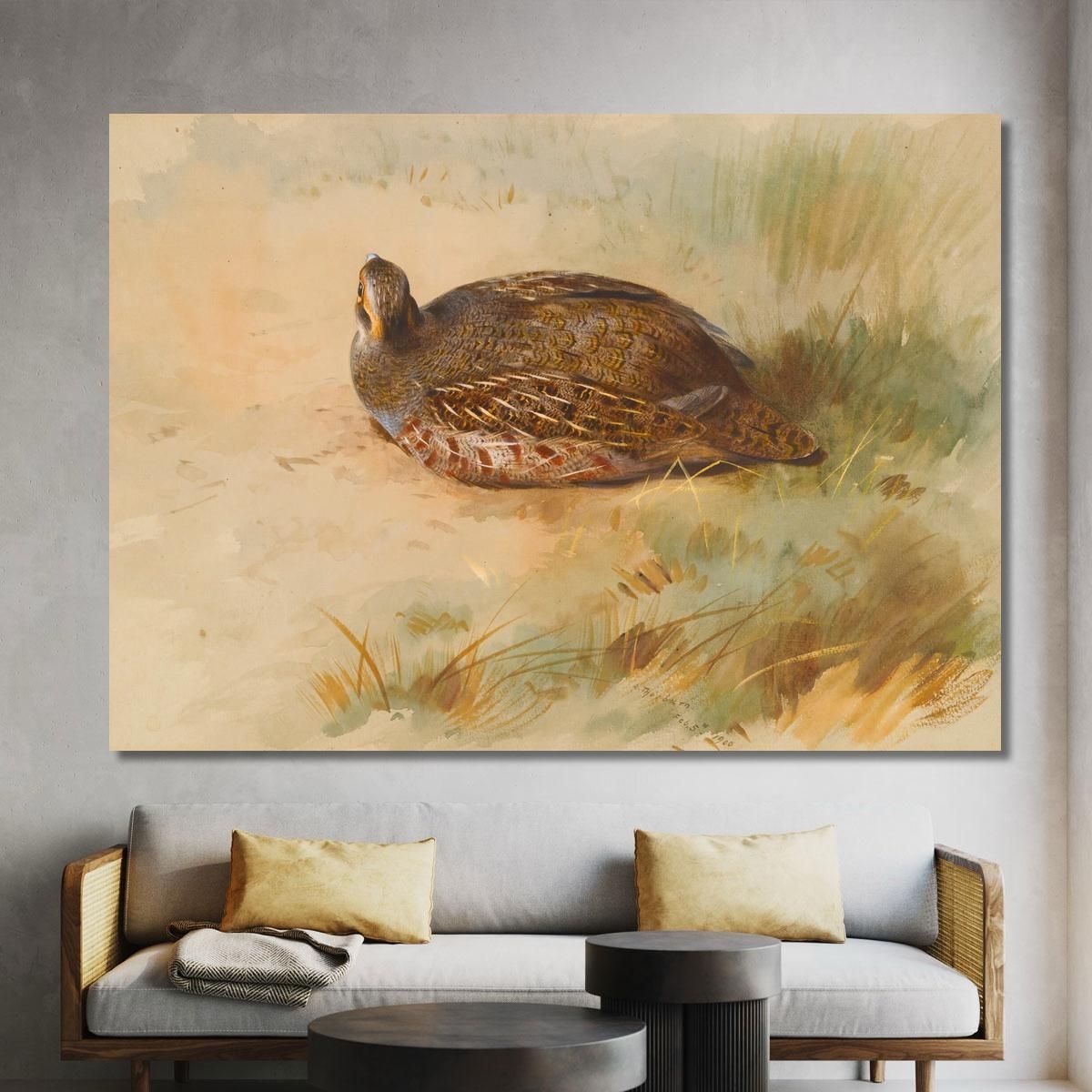 Partridge Archibald Thorburn ath75 canvas print 
