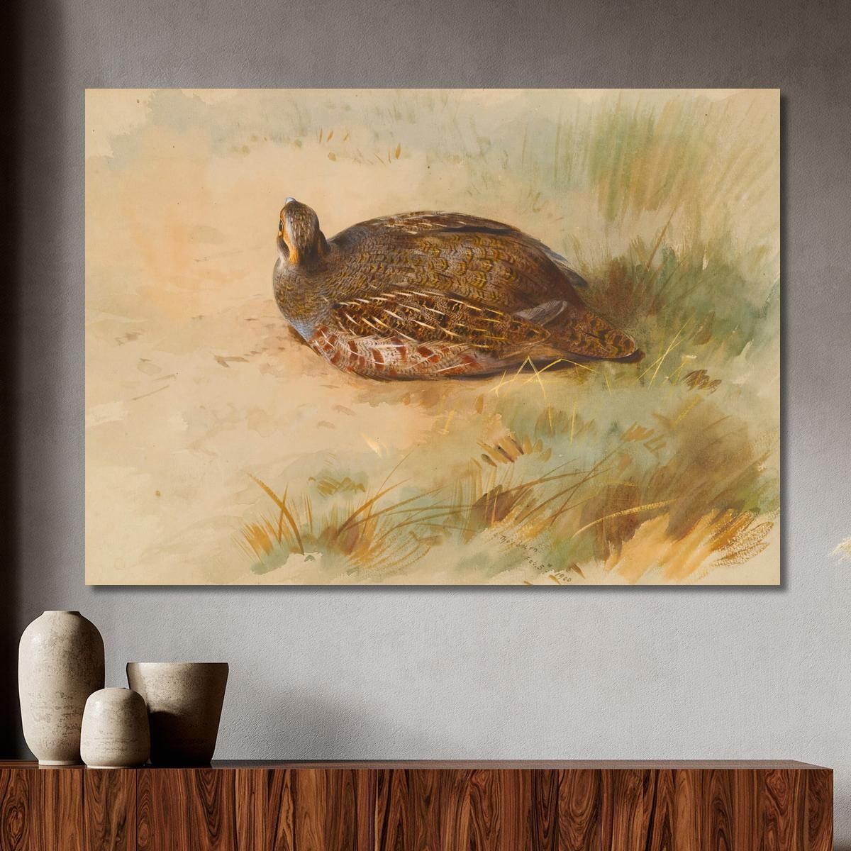 Partridge Archibald Thorburn ath75 canvas print 