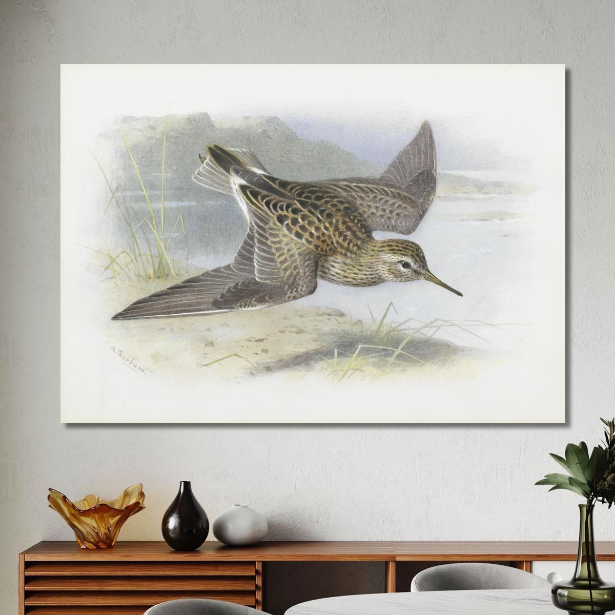 Pectoral Sandpiper Archibald Thorburn ath78 canvas print 