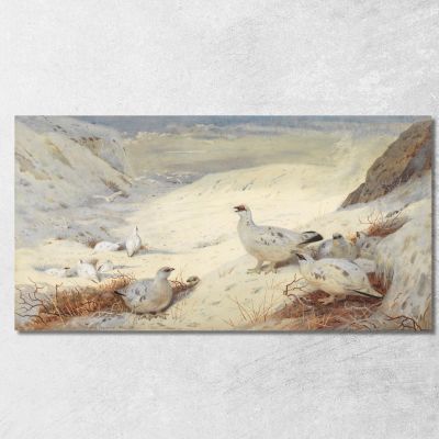 Ptarmigan In Winter Plumage Archibald Thorburn ath85 canvas print 