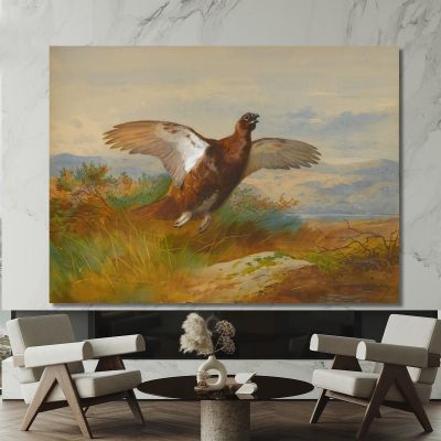 Red Grouse In Flight Archibald Thorburn ath86 canvas print 