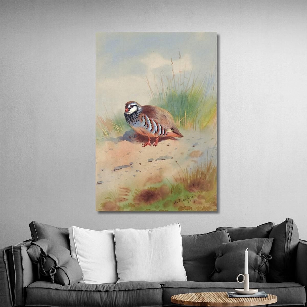 Red-Legged Partridge Archibald Thorburn ath88 canvas print 