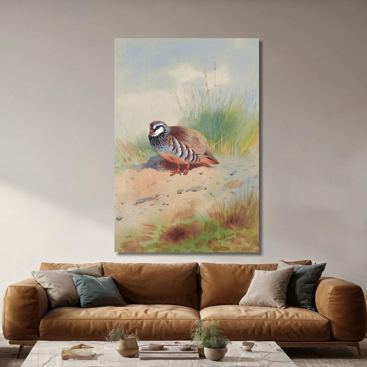 Red-Legged Partridge Archibald Thorburn ath88 canvas print 