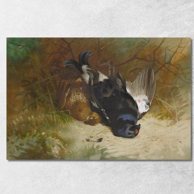 Still Life Of A Pair Of Blackgame Archibald Thorburn ath94 canvas print 