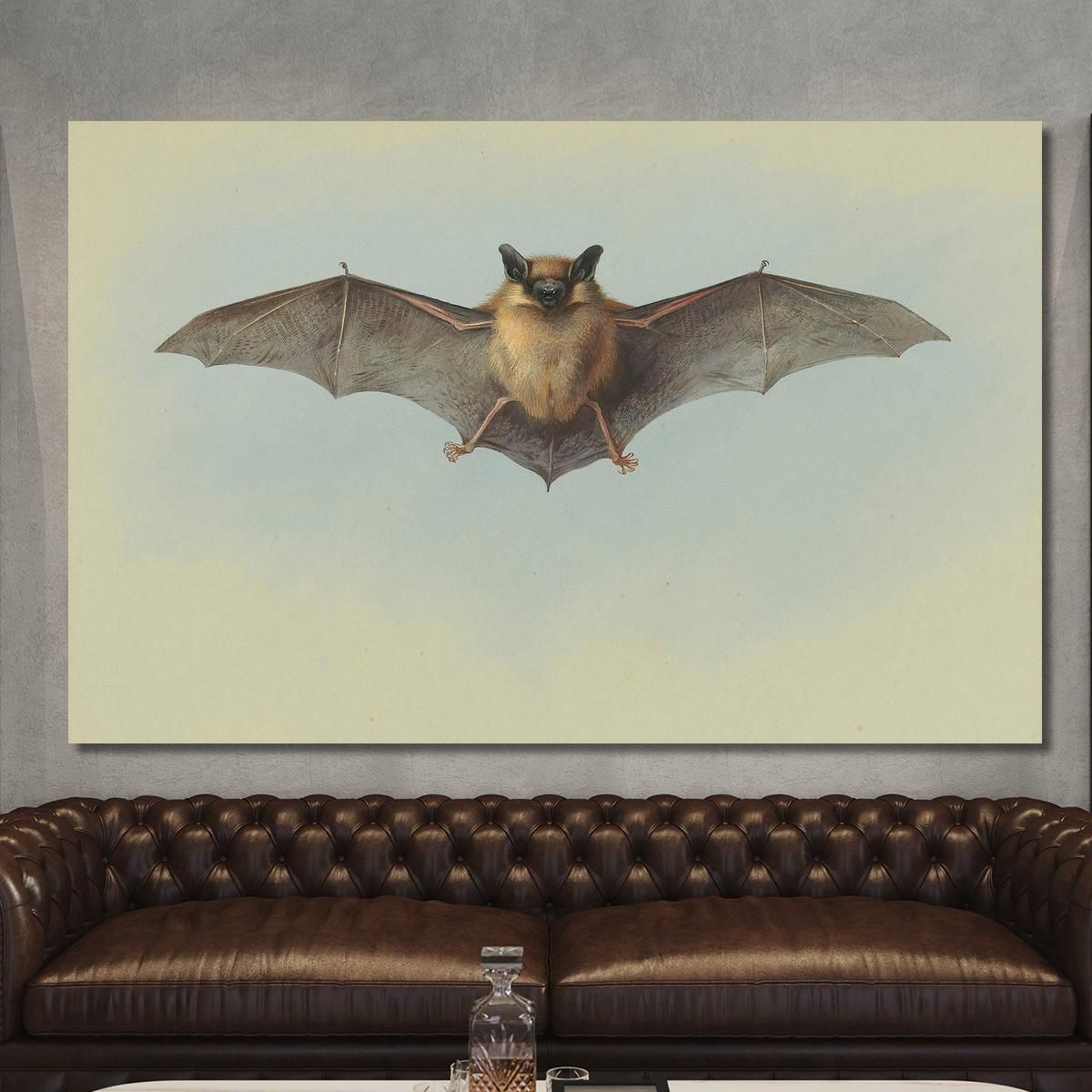 Study Of A Common Pipistrelle Bat Archibald Thorburn ath95 canvas print 