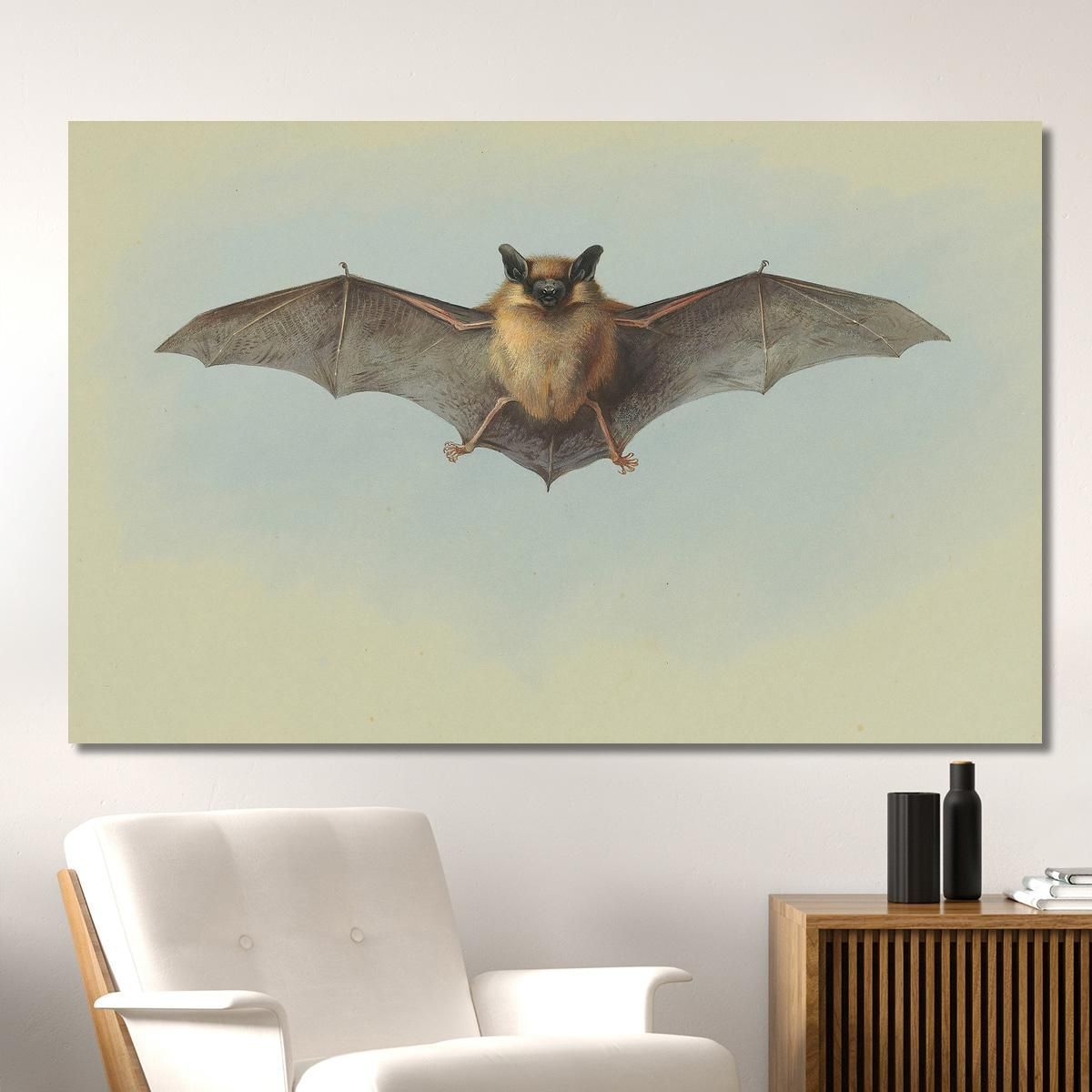 Study Of A Common Pipistrelle Bat Archibald Thorburn ath95 canvas print 