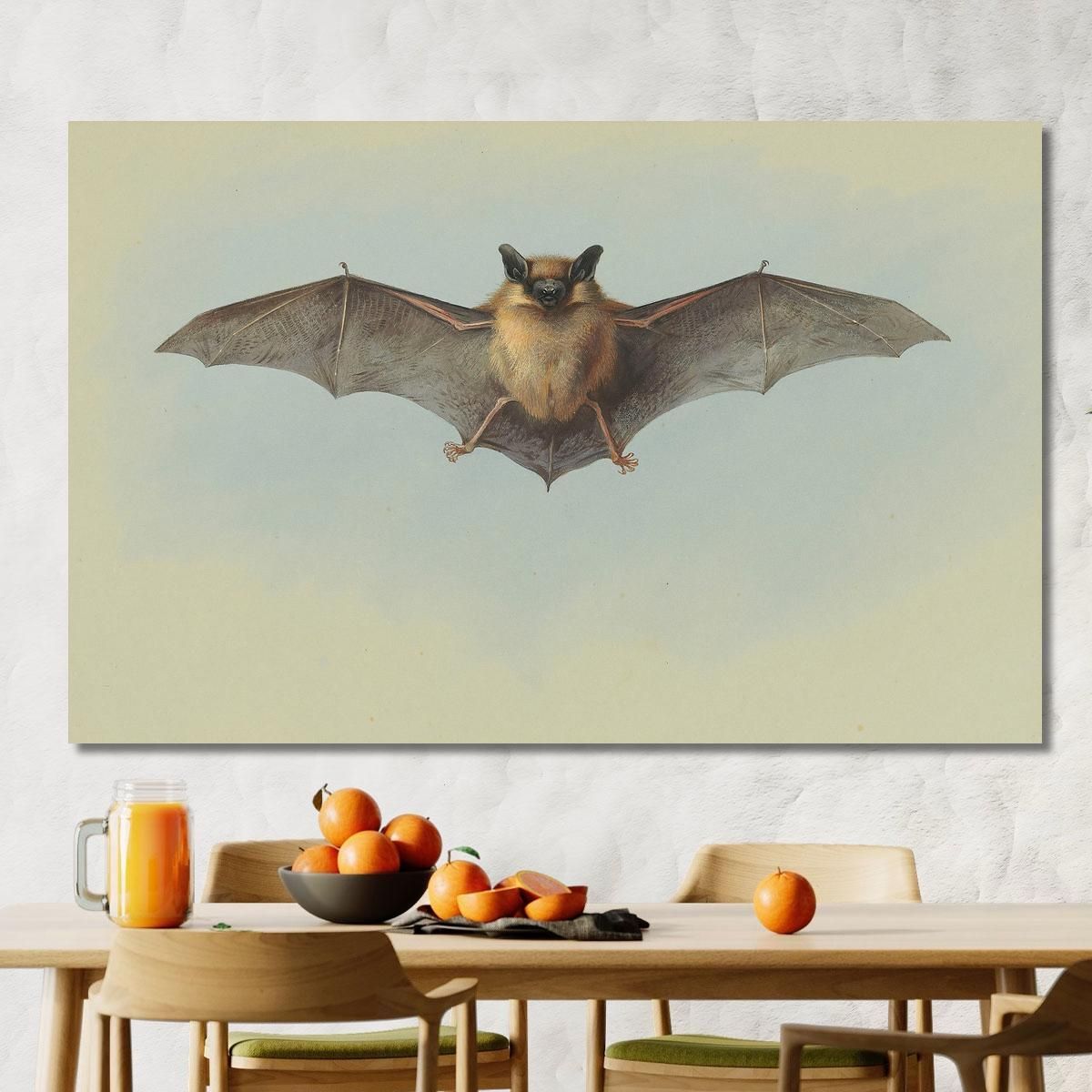 Study Of A Common Pipistrelle Bat Archibald Thorburn ath95 canvas print 