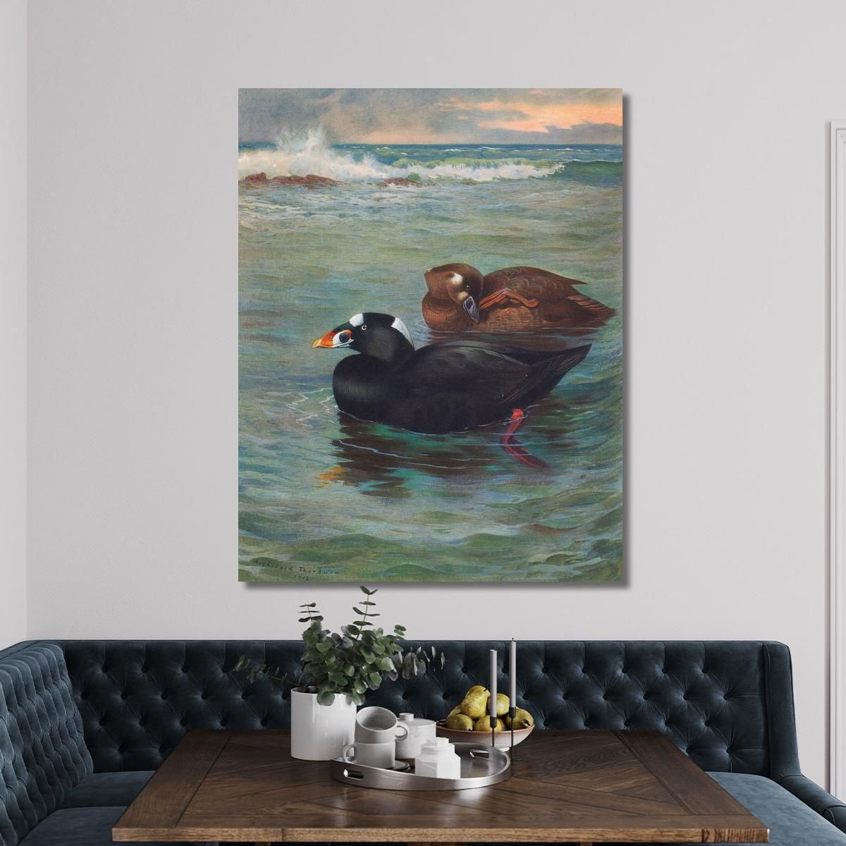 Surf-Scoter Archibald Thorburn ath97 canvas print 