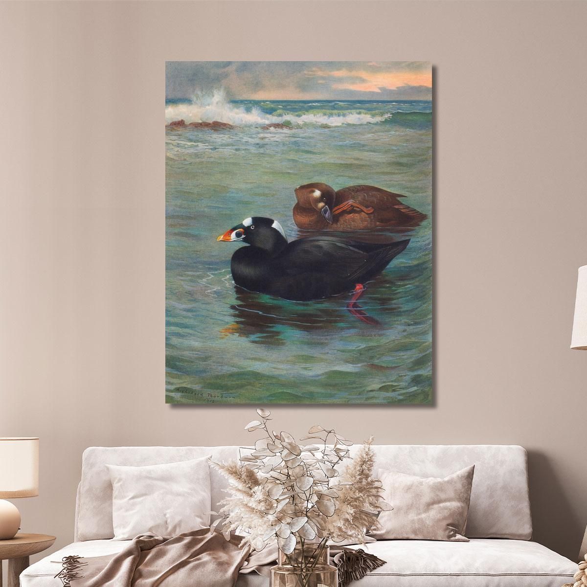 Surf-Scoter Archibald Thorburn ath97 canvas print 
