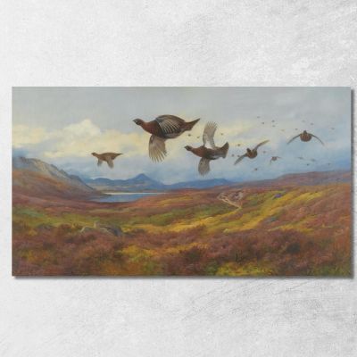 Swerving From The Guns-Red Grouse Archibald Thorburn ath98 canvas print 