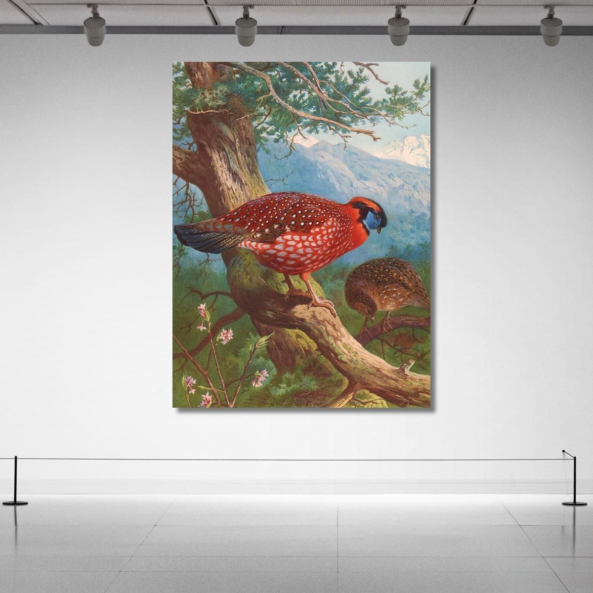 Temminck'S Tragopan Archibald Thorburn ath99 canvas print 