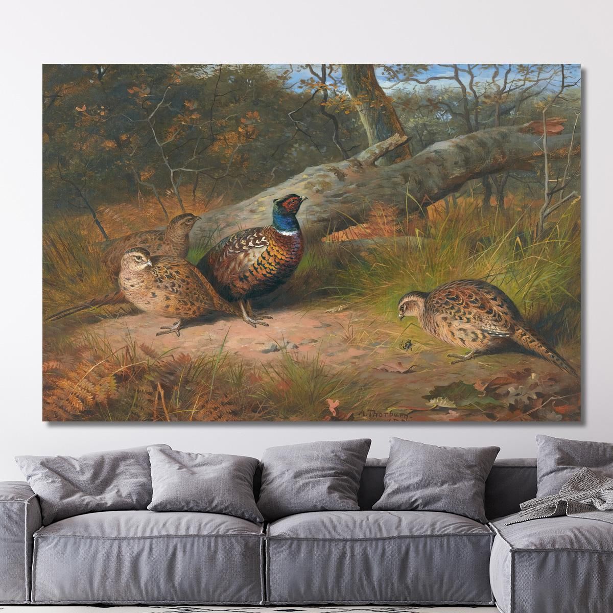 The Fallen Beech- A Cock And Three Hen Pheasants With A Wasp Archibald Thorburn ath101 canvas print 