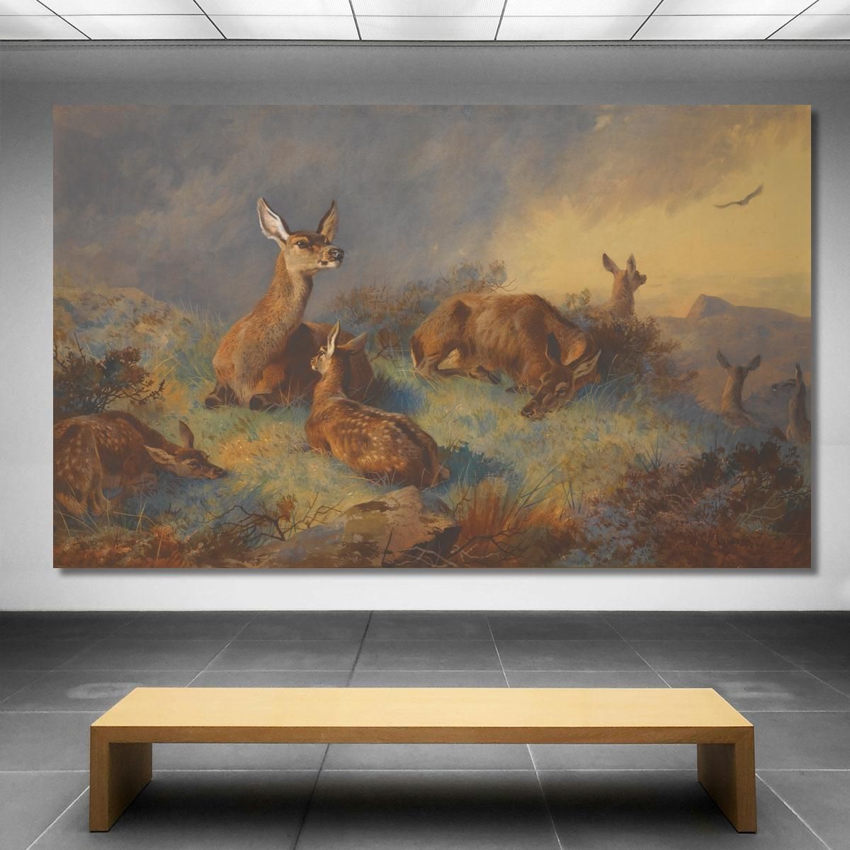 The Watchful Hinds Archibald Thorburn ath104 canvas print 