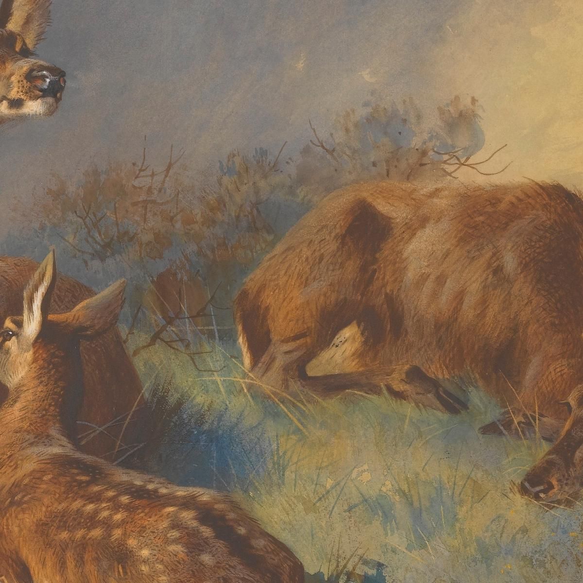 The Watchful Hinds Archibald Thorburn ath104 canvas print