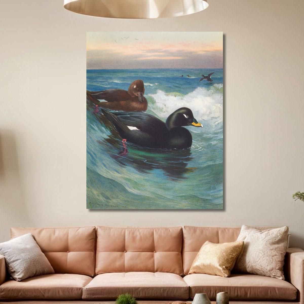 Velvet-Scoter Archibald Thorburn ath107 canvas print 