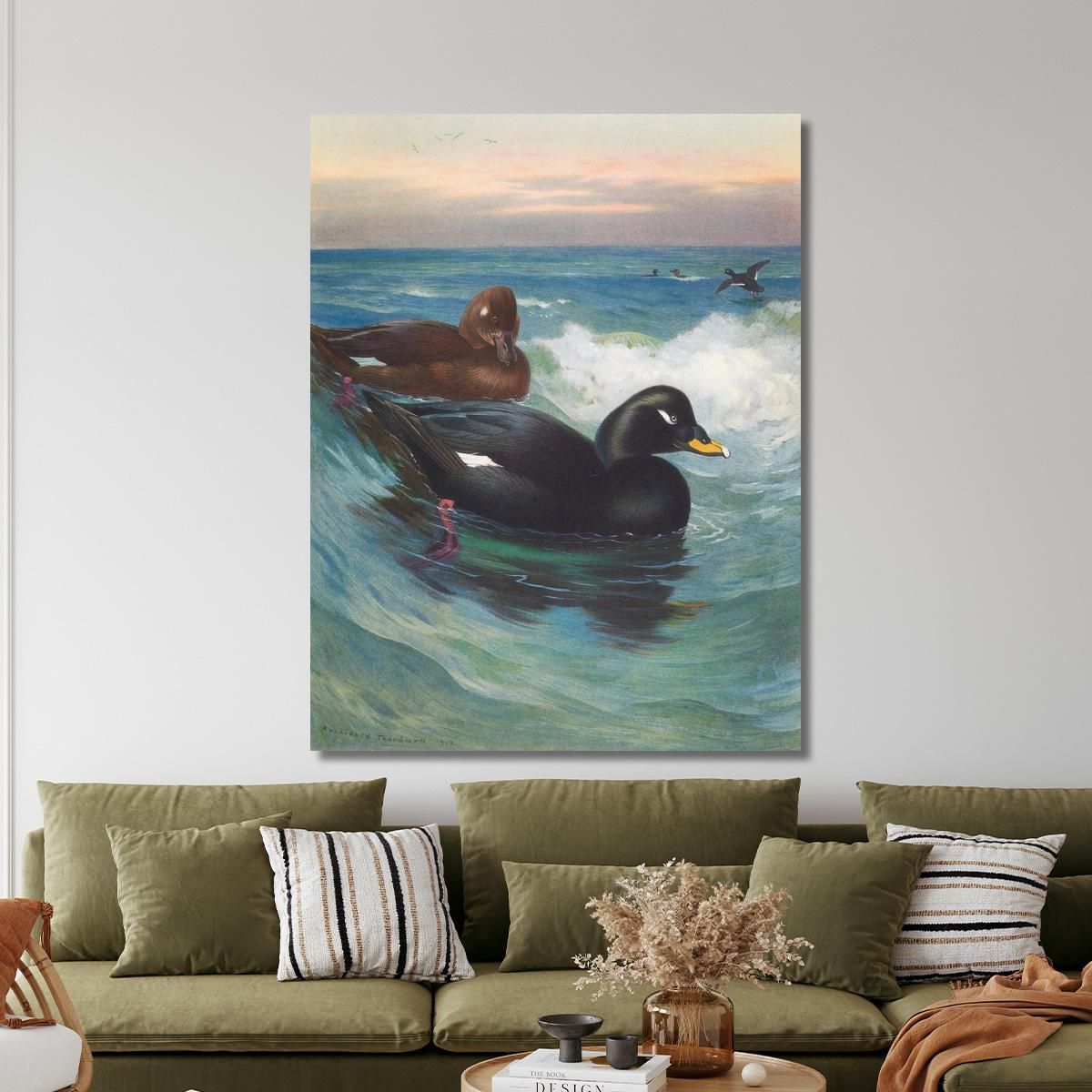 Velvet-Scoter Archibald Thorburn ath107 canvas print 