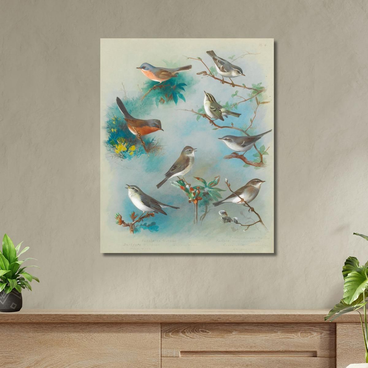 Warbler And Wrens Archibald Thorburn ath108 canvas print 