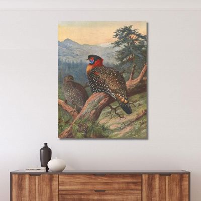 Western Tragopan Archibald Thorburn ath109 canvas print 