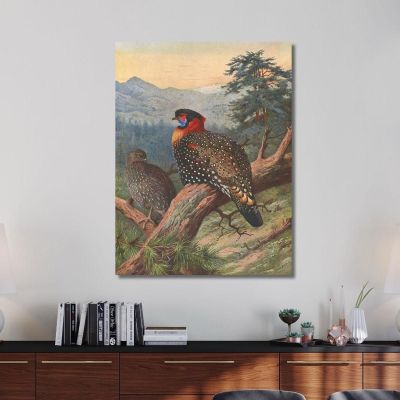 Western Tragopan Archibald Thorburn ath109 canvas print 
