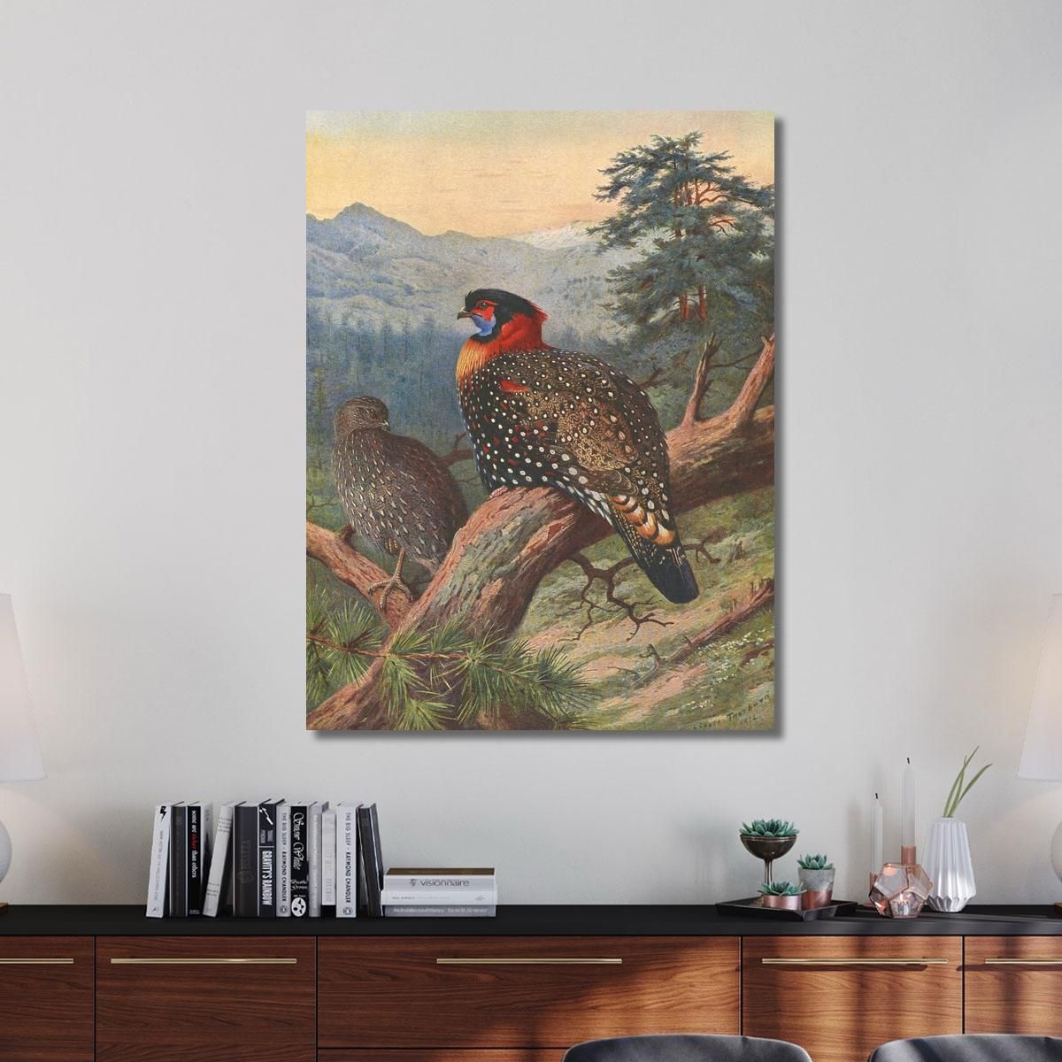 Western Tragopan Archibald Thorburn ath109 canvas print 