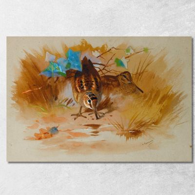 Woodcock In A Sandy Hollow Archibald Thorburn ath113 canvas print 