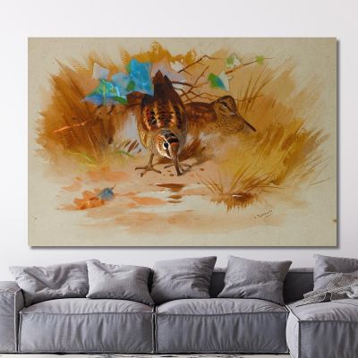 Woodcock In A Sandy Hollow Archibald Thorburn ath113 canvas print 