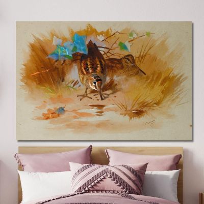 Woodcock In A Sandy Hollow Archibald Thorburn ath113 canvas print 