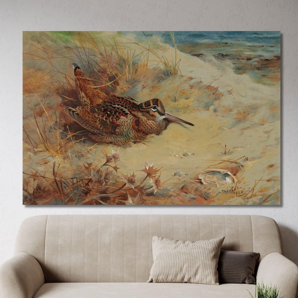 Woodcock Sheltering In The Sand Dunes Archibald Thorburn ath114 canvas print 