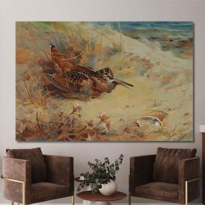 Woodcock Sheltering In The Sand Dunes Archibald Thorburn ath114 canvas print 