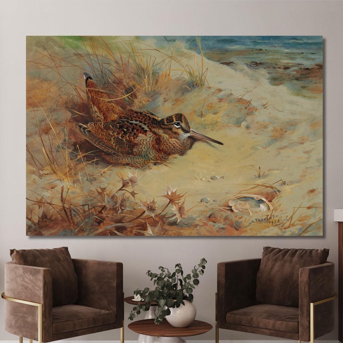 Woodcock Sheltering In The Sand Dunes Archibald Thorburn ath114 canvas print 