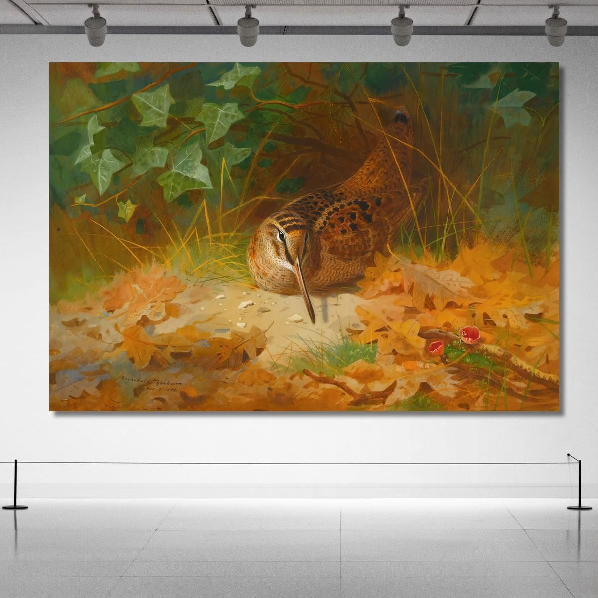 Woodcock Archibald Thorburn ath115 canvas print 