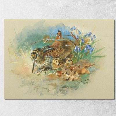 Woodcock And Young Archibald Thorburn ath116 canvas print 