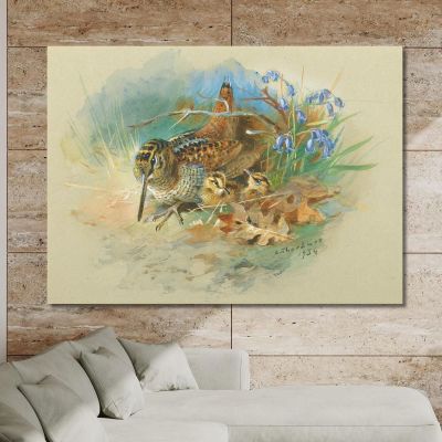 Woodcock And Young Archibald Thorburn ath116 canvas print 