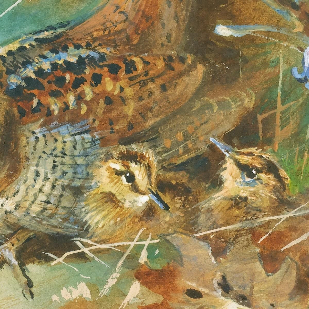 Woodcock And Young Archibald Thorburn ath116 canvas print