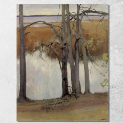 Lake Shore With Reeds 2 Eero Järnefelt ejr20 canvas print 